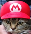 nyankosan.jpg